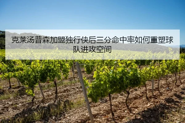 克莱汤普森加盟独行侠后三分命中率如何重塑球队进攻空间
