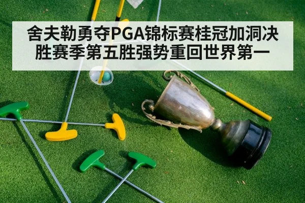 舍夫勒勇夺PGA锦标赛桂冠加洞决胜赛季第五胜强势重回世界第一